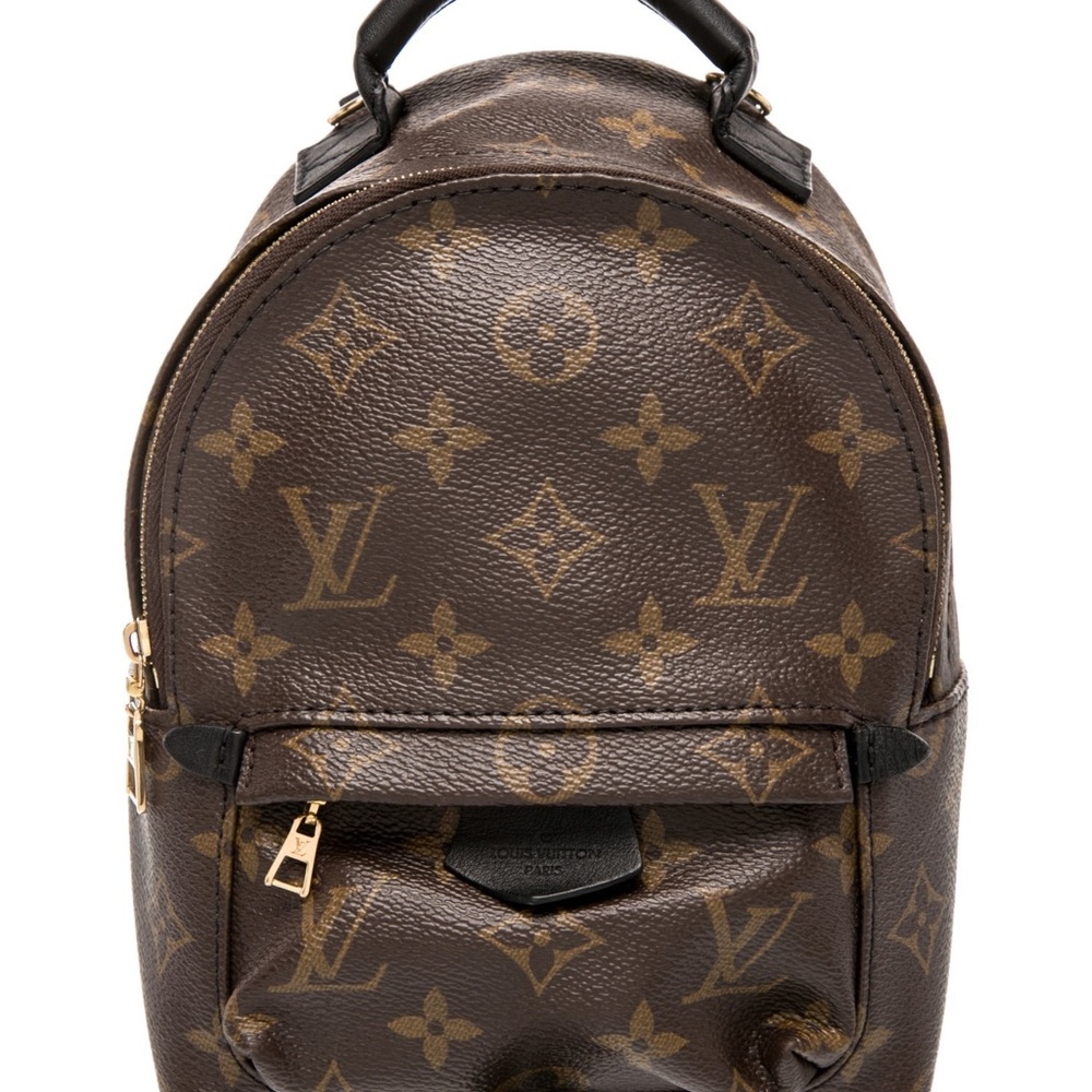 Louis Vuitton Monogram Palm Springs Mini